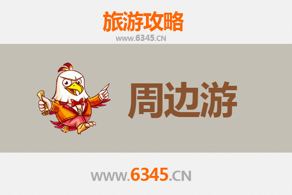 湛江霞山周边游全攻略：探秘港城风情与自然奇观